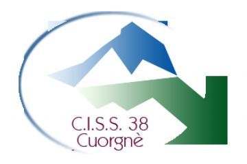 C.I.S.S. 38 - Avviso pubblico concessione di contributi ad Associazioni, Organizzazioni ed Enti non lucrativi - Misura III.K.5.07 FSE+ 2021-27